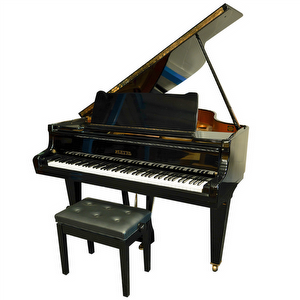 Pleyel 1.70 Occasion Vleugel (1975)
