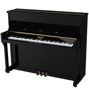 Pleyel P120BLK Akoestische Piano