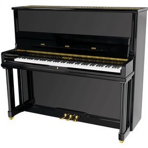 Pleyel P131BLK Piano