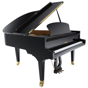 Pleyel P170BLK Flügel