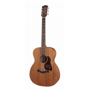 Richwood A50 with Pickup (includes case) - Used