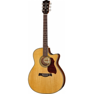 Richwood G65CE VA Master Auditorium – Gebraucht