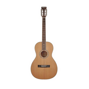 Richwood RV70 Westerngitarre - Gebraucht