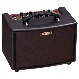 Roland AC22LX - Used