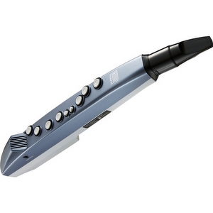 Roland AE-01 Aerophone Mini 