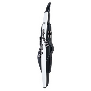 Roland AE20 Aerophone