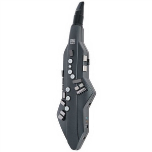 Roland AE 05 Aerophone