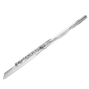 Roland Aerophone Brisa – Digitale Querflöte