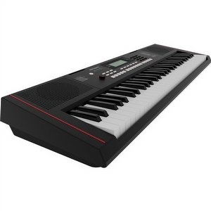 Roland E-X10 Arranger Keyboard Occasion 