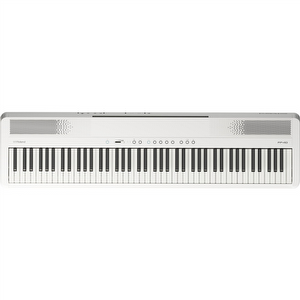 Roland FP-40 Portable Piano - Weiß