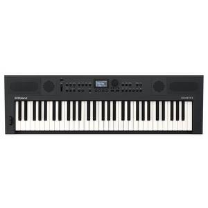 Roland GO:KEYS 5 - Graphite
