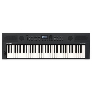 Roland GO:KEYS 5 - Graphite - B-Stock