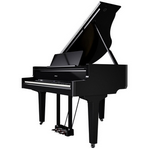 Roland GP-9PE Digitale Vleugel Hoogglans Zwart B-Stock