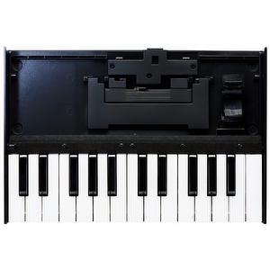 Roland K-25M Keyboard Unit