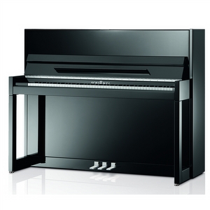 Schimmel C116 Modern Cubus 