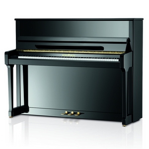 Schimmel C116 Tradition