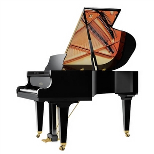 Schimmel C169T Tradition Vleugel