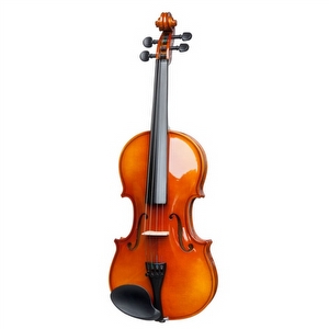 Stagg VN-4/4 Geige
