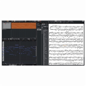 Steinberg Cubase Elements 15 Educational