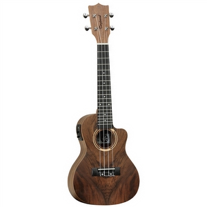 Tanglewood TWT21E - Concert Ukelele