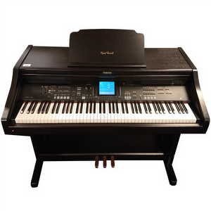 Technics SXPR602 Occasion Digitale Piano