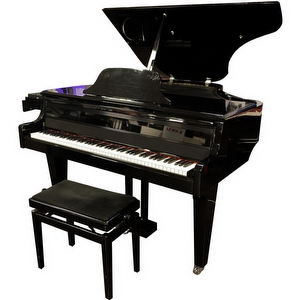 Viscount / Pioneer Dual Jam Digitale Vleugel