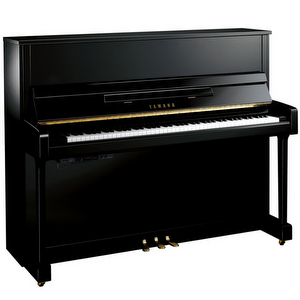 Yamaha B3PE TC3 Transacoustic Piano