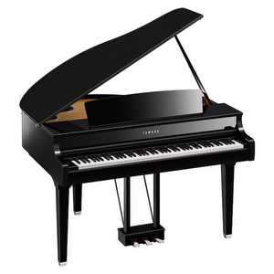 Yamaha CLP-895GPPE Digitalpiano Schwarz Poliert  