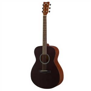 Yamaha FS400 Concert - Smoky Black