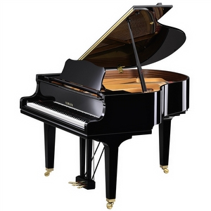 Yamaha GCB Vleugel - Zwart Hoogglans