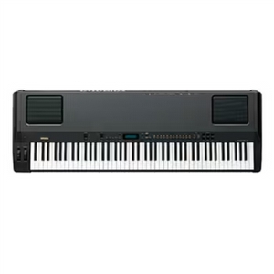 Yamaha P200 Digitalklavier Gebraucht
