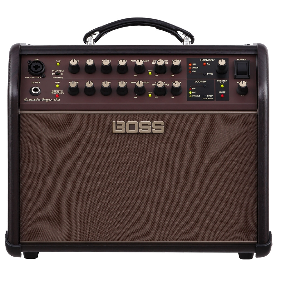 Boss Acoustic Singer Live