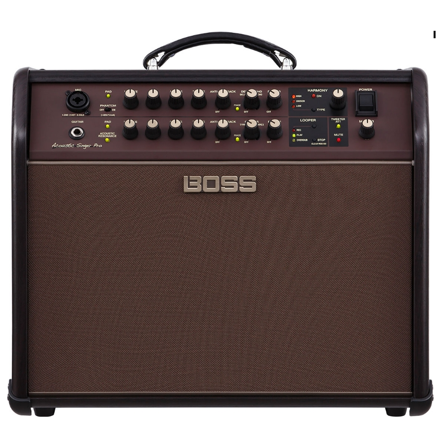 Boss Acoustic Singer Pro