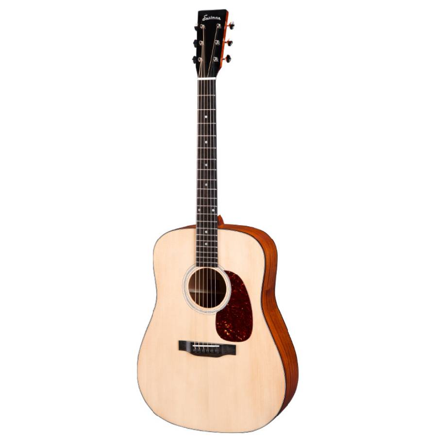 Eastman E1D - Dreadnought