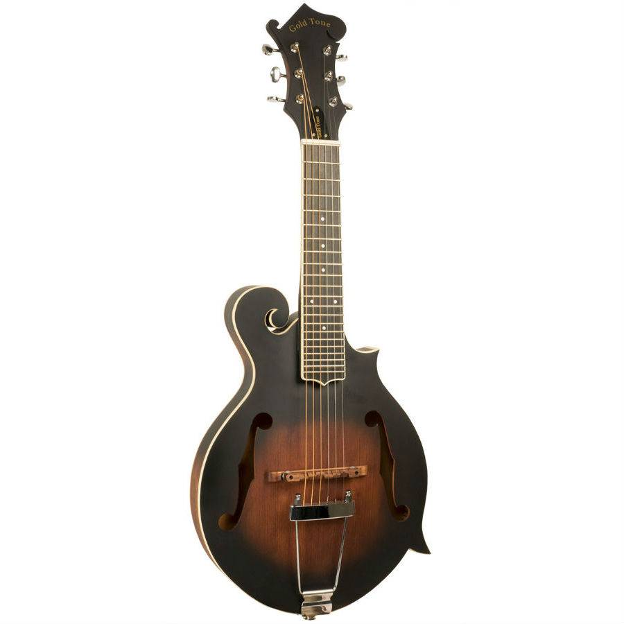 Gold Tone F6 Mando Guitar 