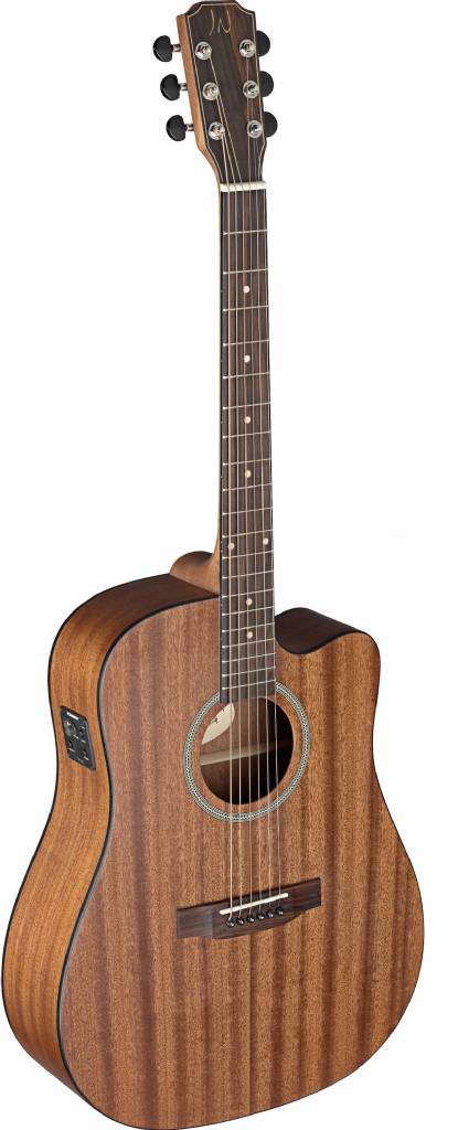 James Neligan DEV-DCFI Western Gitaar