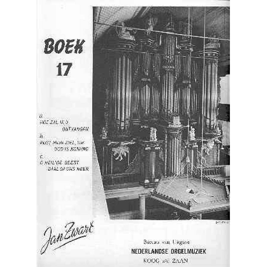 Jan Zwart - Boek 17 - Hoe zal ik U ontvangen