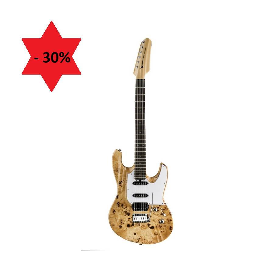 Lodestone Artist Birdseye Maple Gitaar