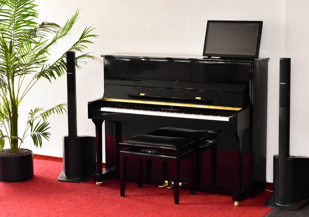 Ludwig & Hoff Hybride