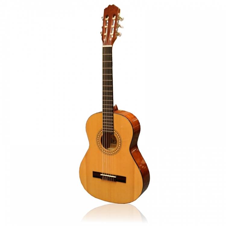 Motion TC601 Classical Guitar