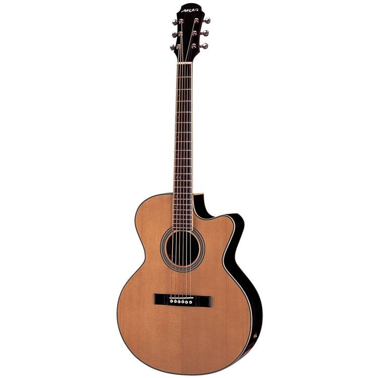 Aria ASP-100 CE