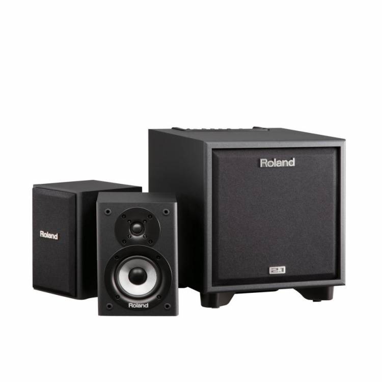 Roland CM110 Cube Monitor Geluidsysteem
