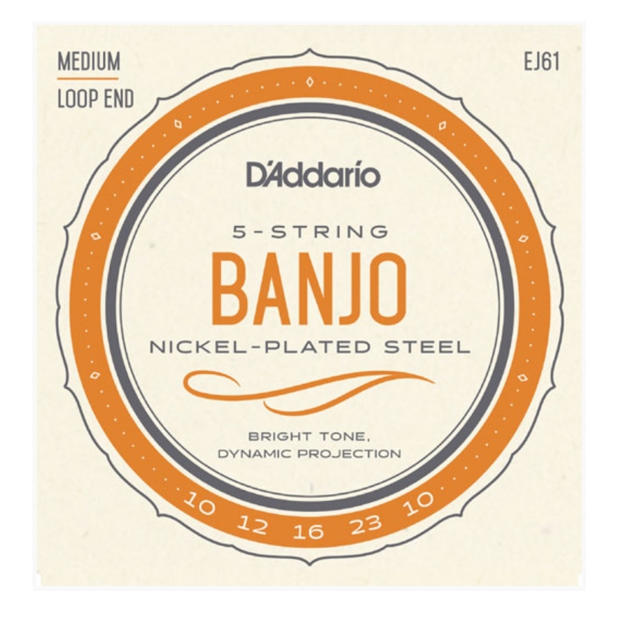 D'Addario EJ61 - Saiten für Banjo