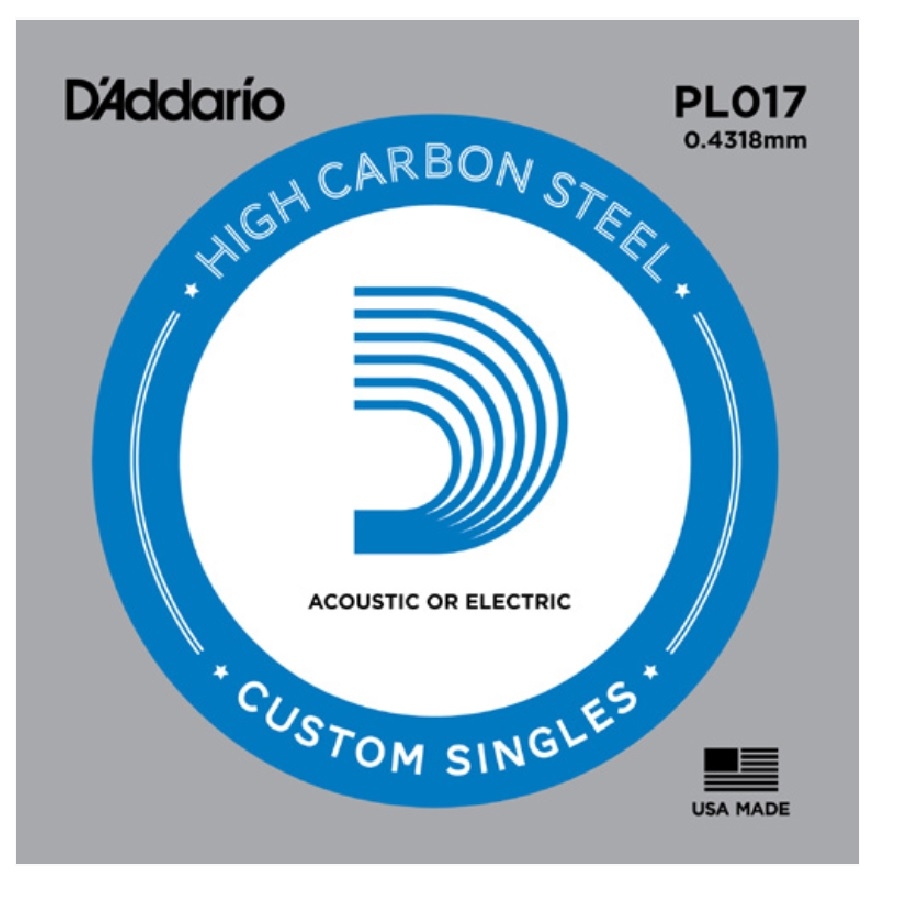 D'Addario PL017 - Stalen Snaar .017