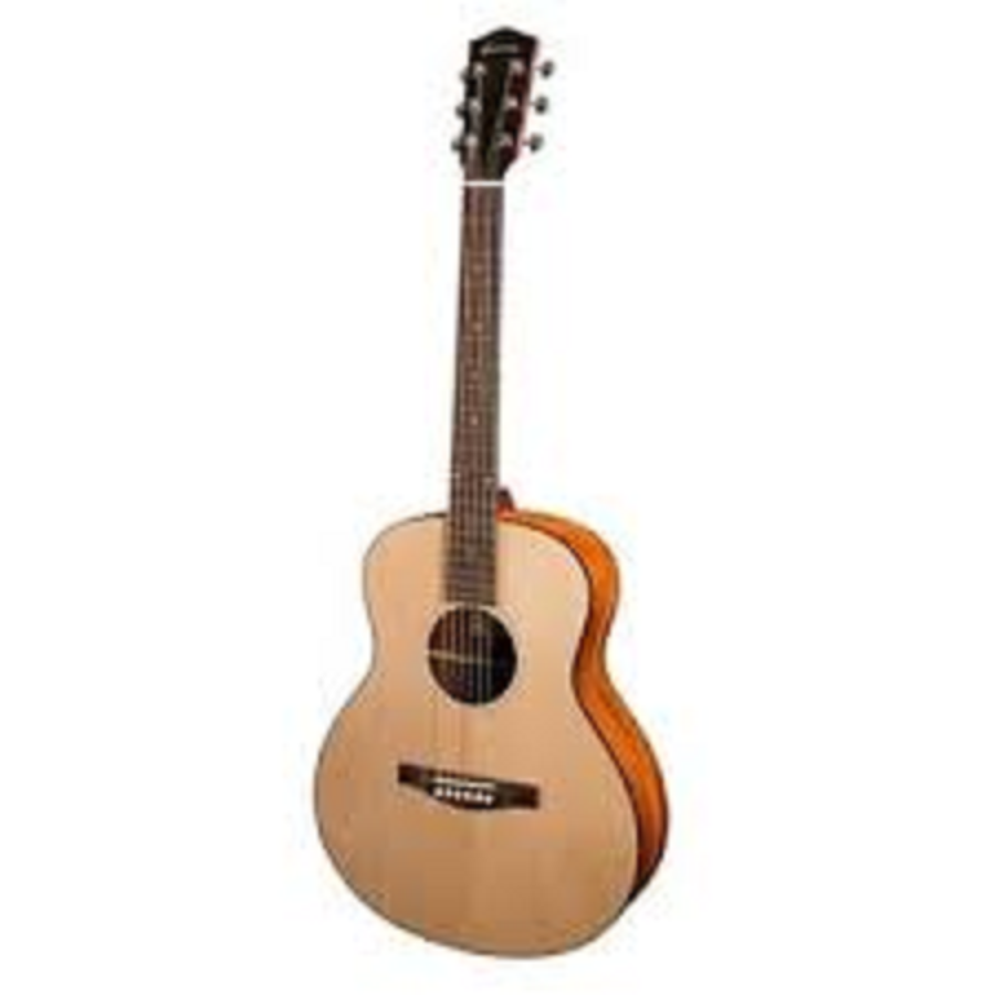 Eastman ACTG1 incl. bag - Occasion