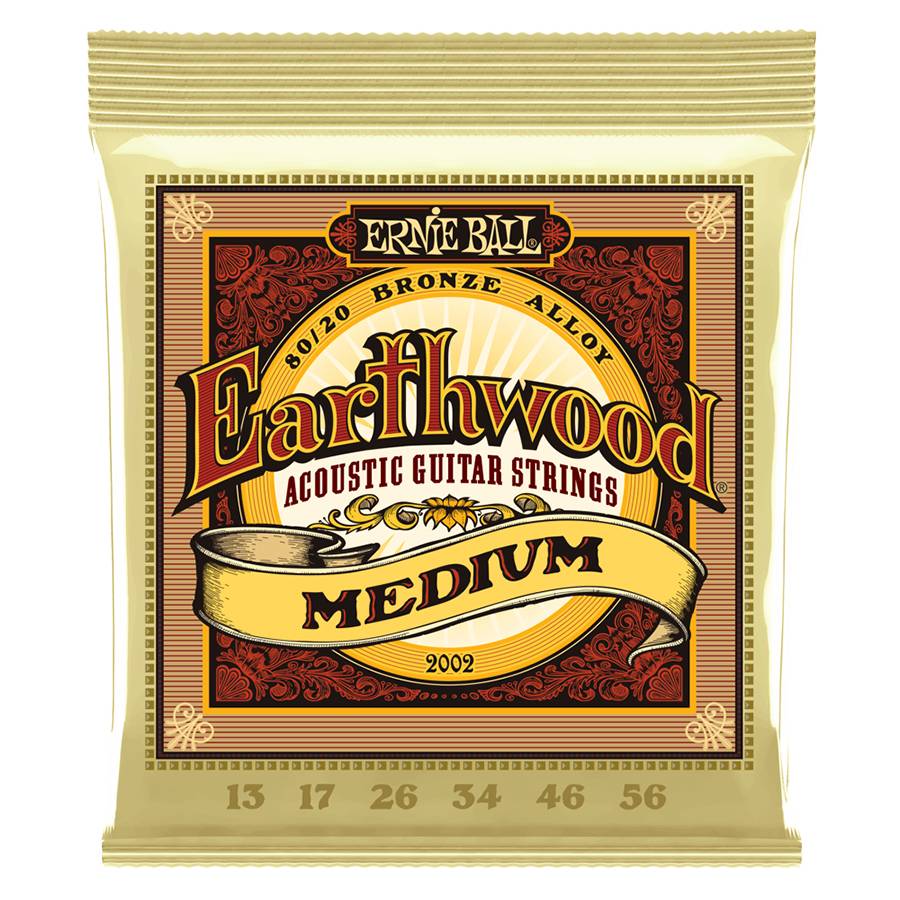Ernie Ball 2002 Medium - Westernsnaren