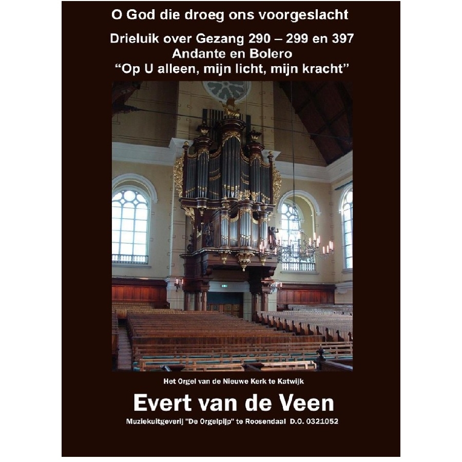 Evert van de Veen - 0321052
