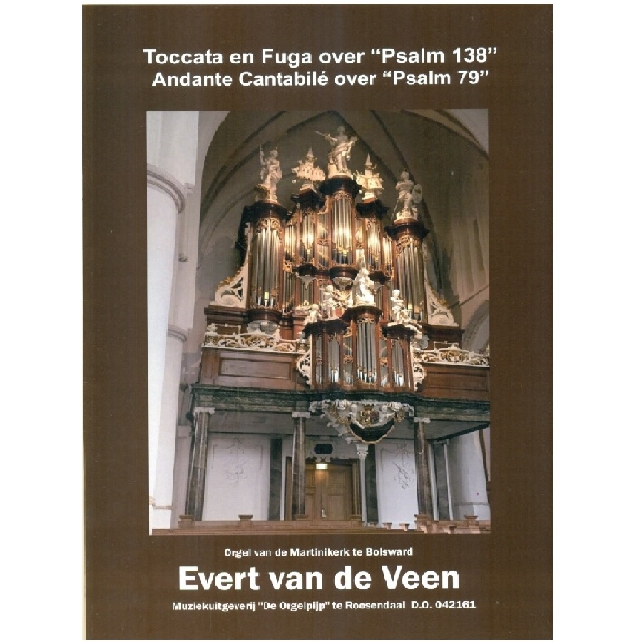 Evert van de Veen - 042161