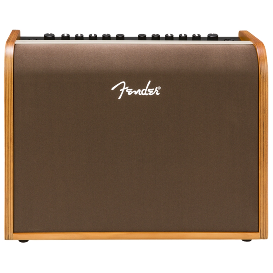 Fender Acoustic 100 - Gitarrenverstärker