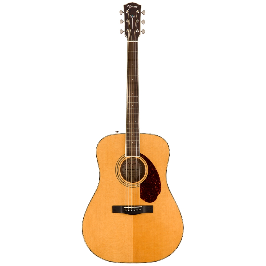 Fender PM-1E - Dreadnought